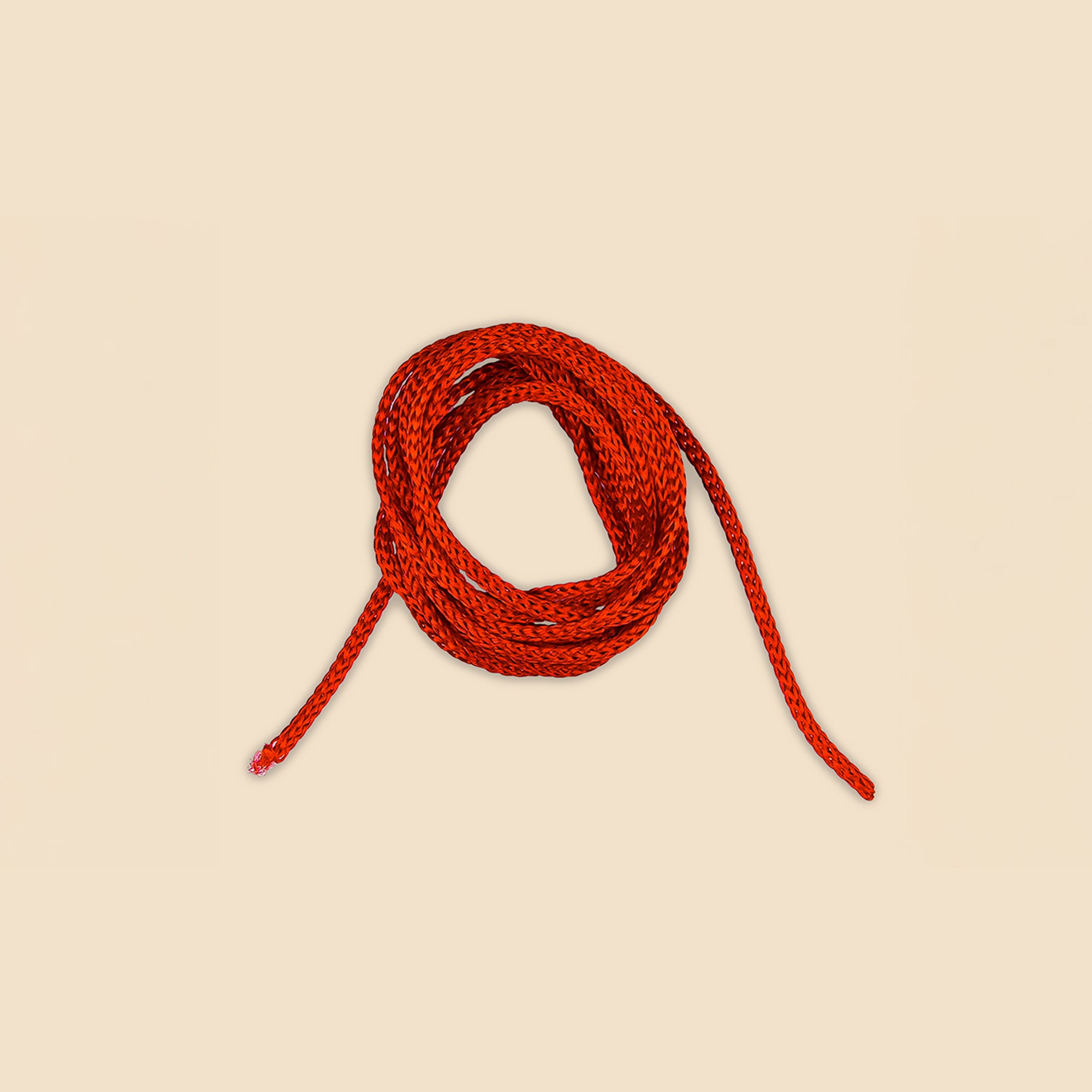 12 Mukhi Rudraksha – Original Indonesian Bead