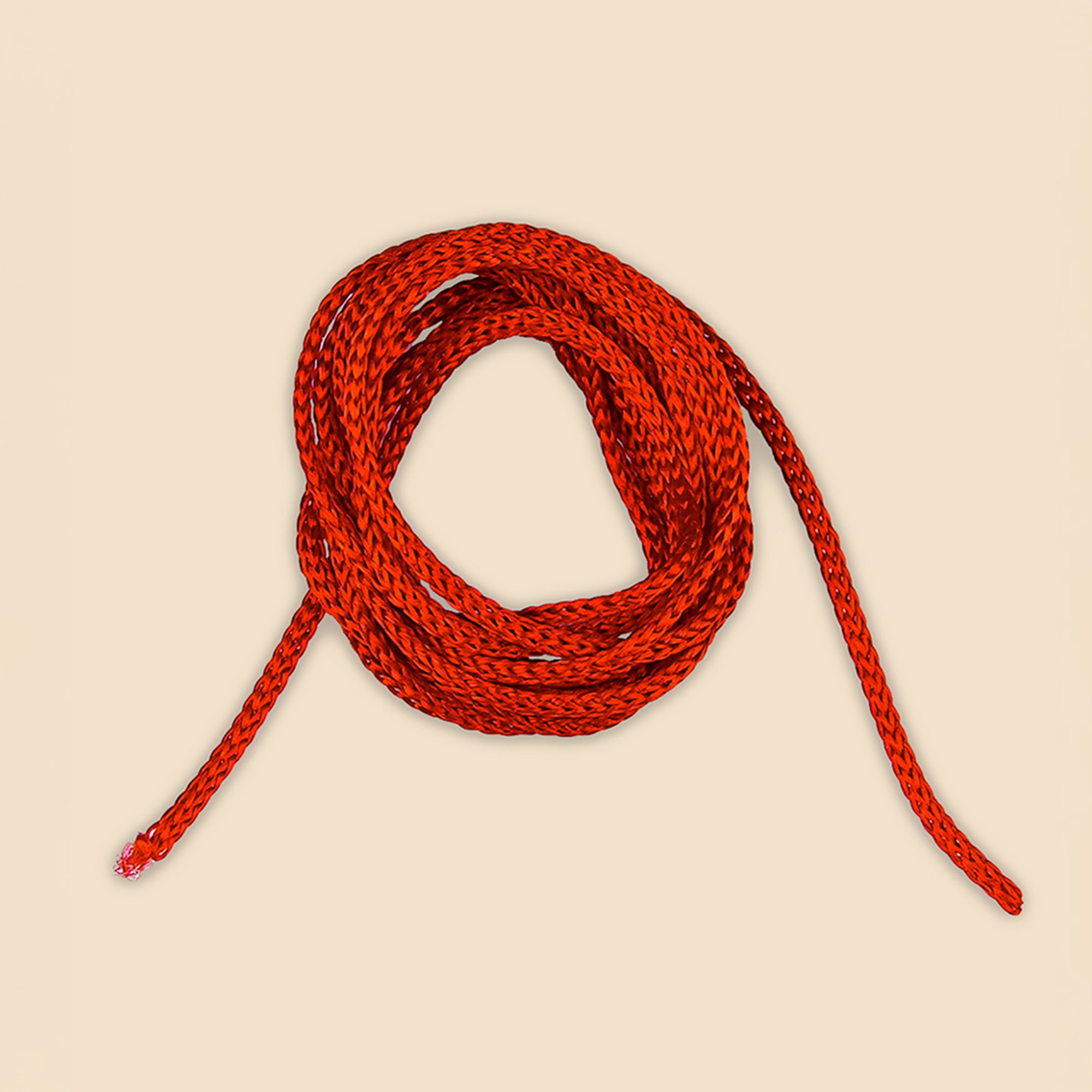 8 Mukhi Rudraksha – Original Indonesian Bead