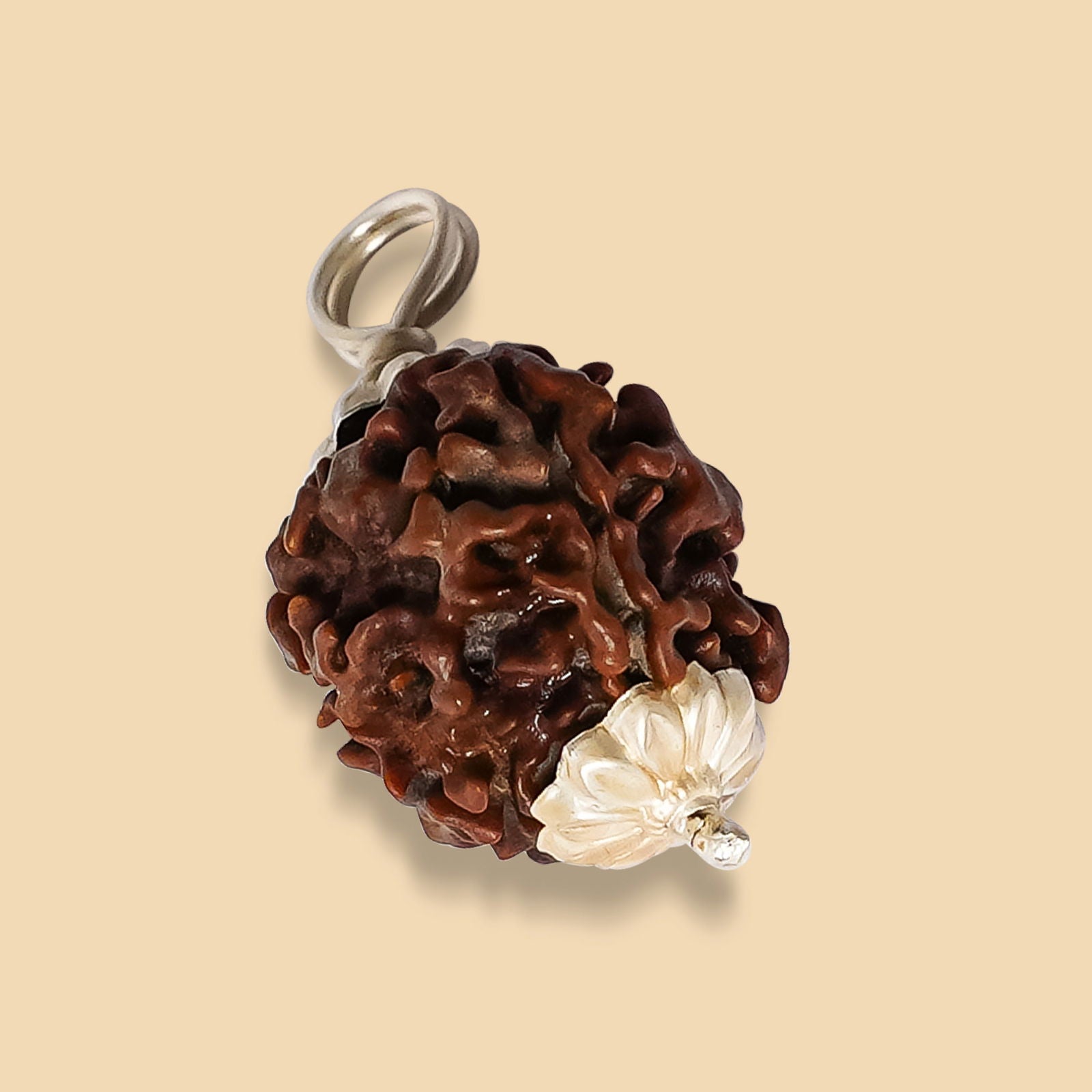 4 Mukhi Rudraksha - Gemsmantra