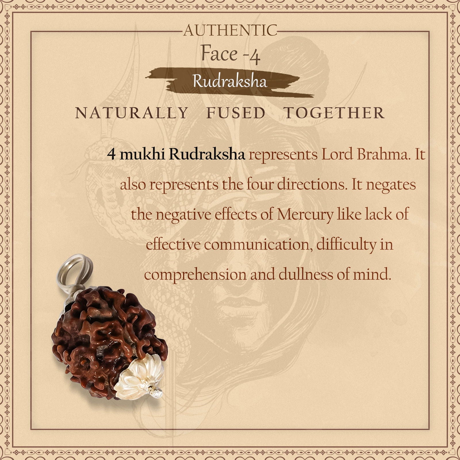 4 Mukhi Rudraksha - Gemsmantra