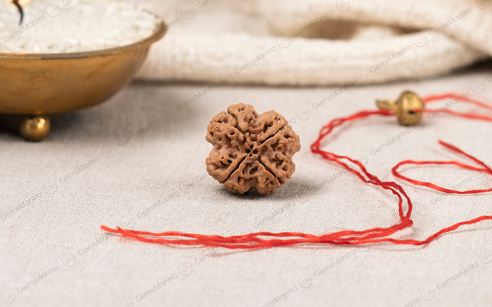 4_Mukhi_Rudraksha_SKU1038R_creative_c2f21da3-d77e-4492-8e67-9c14fb8b150c.jpg?v=1747740017\u0026width=2048
