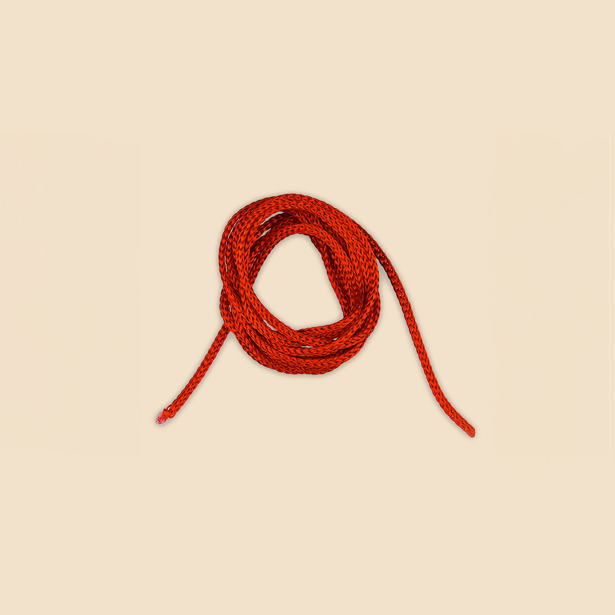 11 Mukhi Rudraksha – Original Indonesian Bead