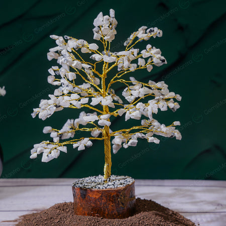 Rainbow Moonstone Crystal Tree – Large, for Vastu