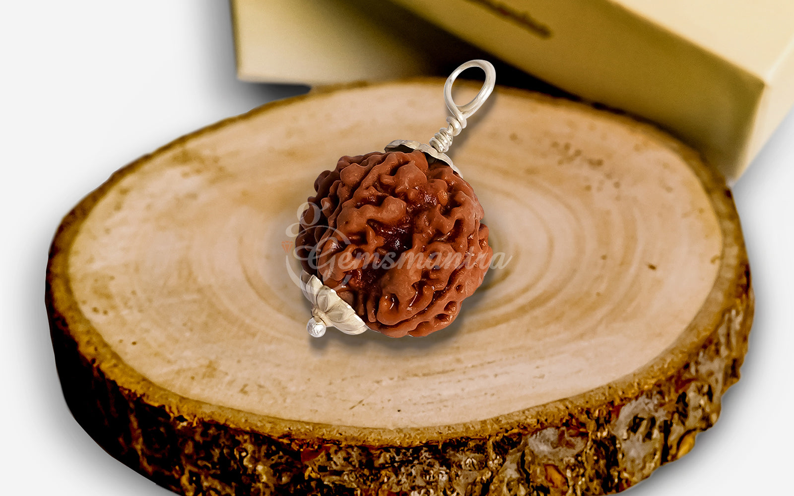 5 Mukhi Rudraksha (Nepali)