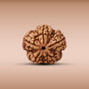 5 Mukhi