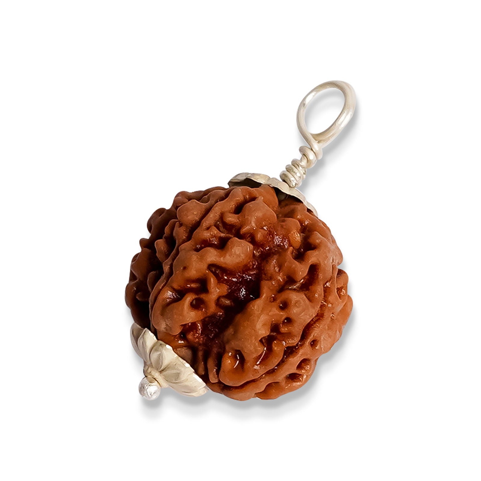 5 Mukhi Rudraksha - Gemsmantra