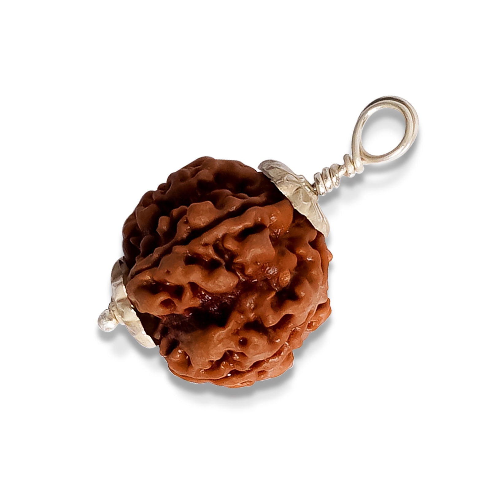 5 Mukhi Rudraksha - Gemsmantra