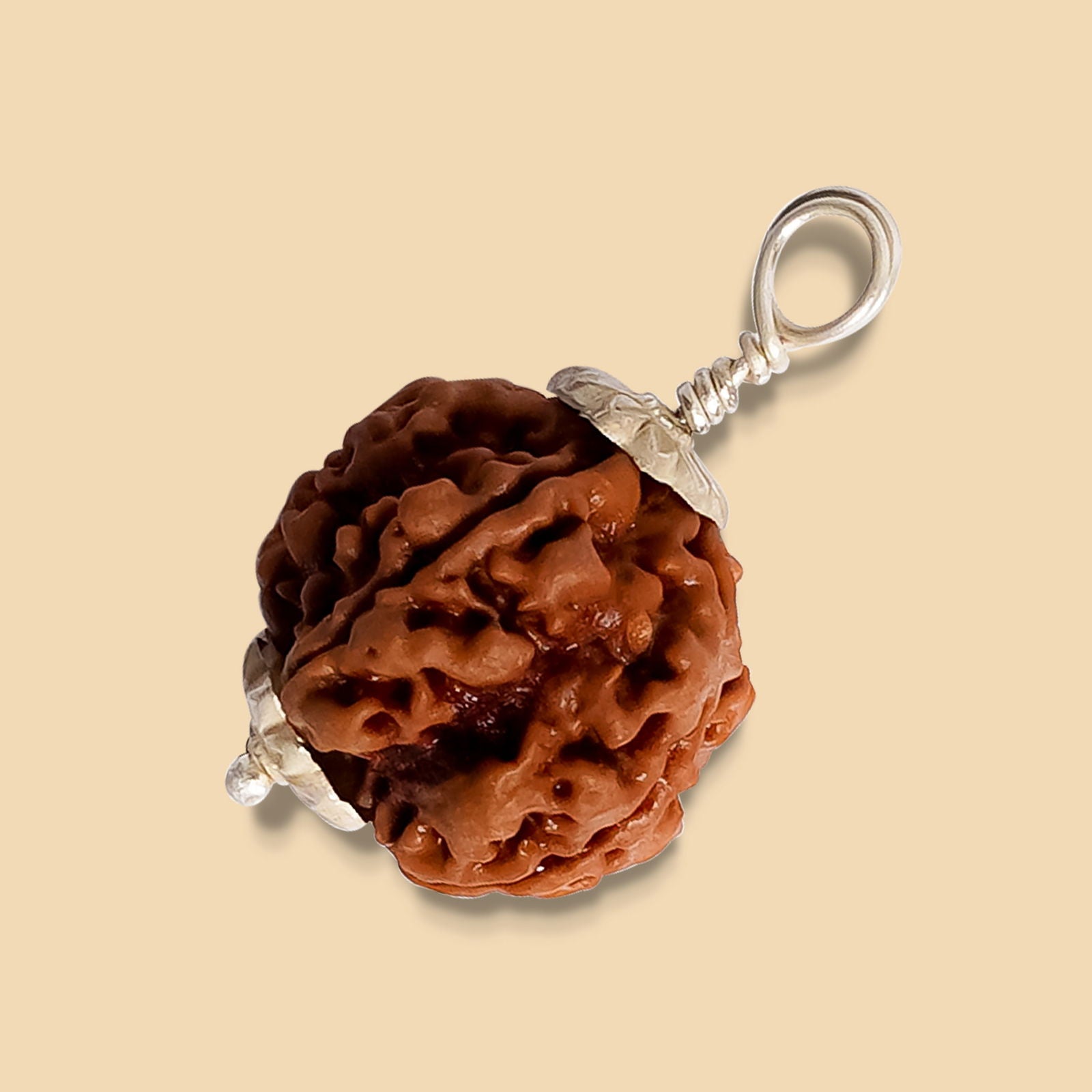 5 Mukhi Rudraksha - Gemsmantra