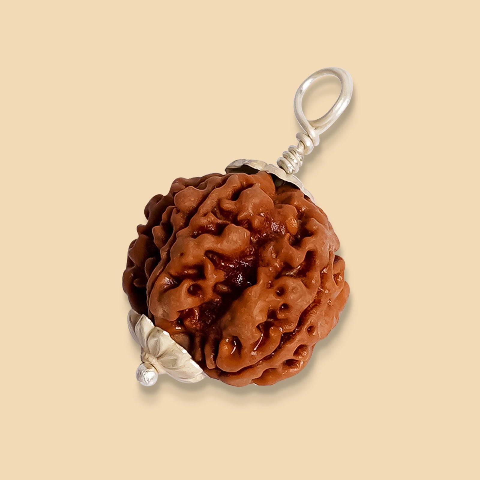 5 Mukhi Rudraksha - Gemsmantra