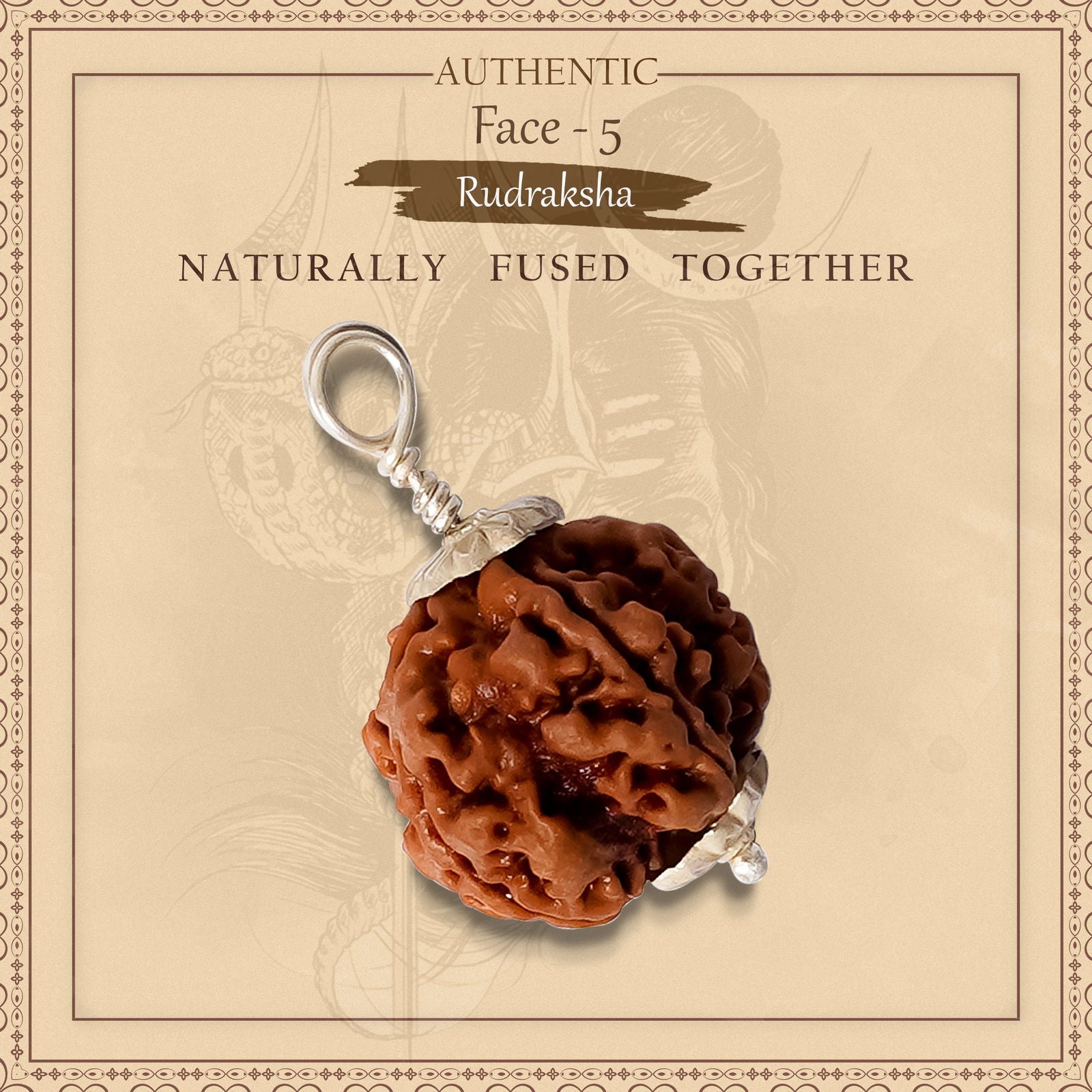 5 Mukhi Rudraksha - Gemsmantra