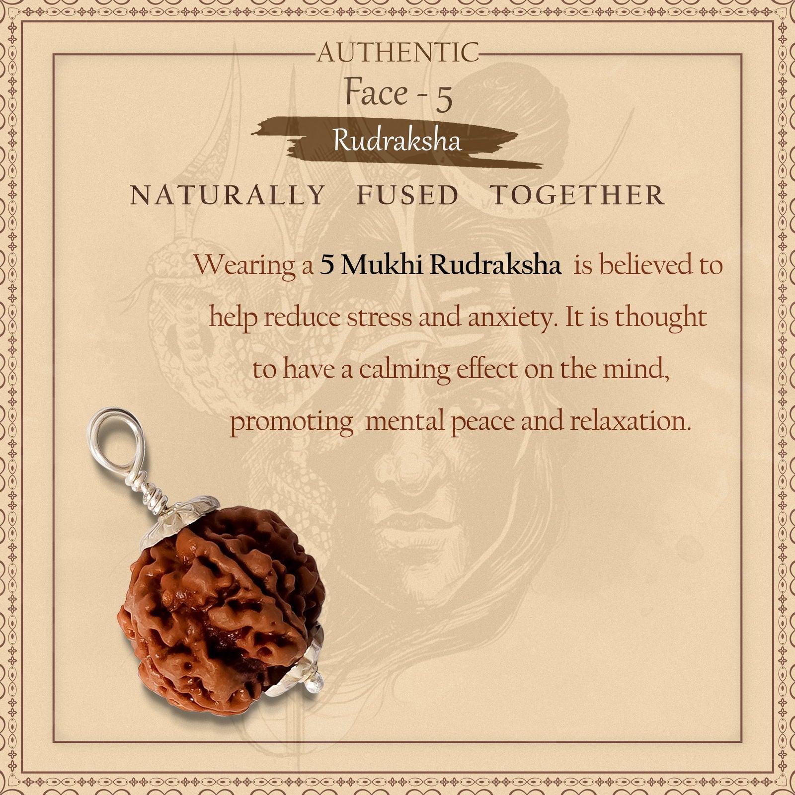 5 Mukhi Rudraksha - Gemsmantra