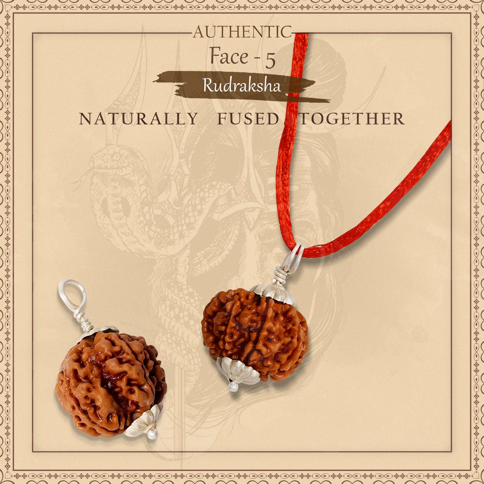 5 Mukhi Rudraksha - Gemsmantra