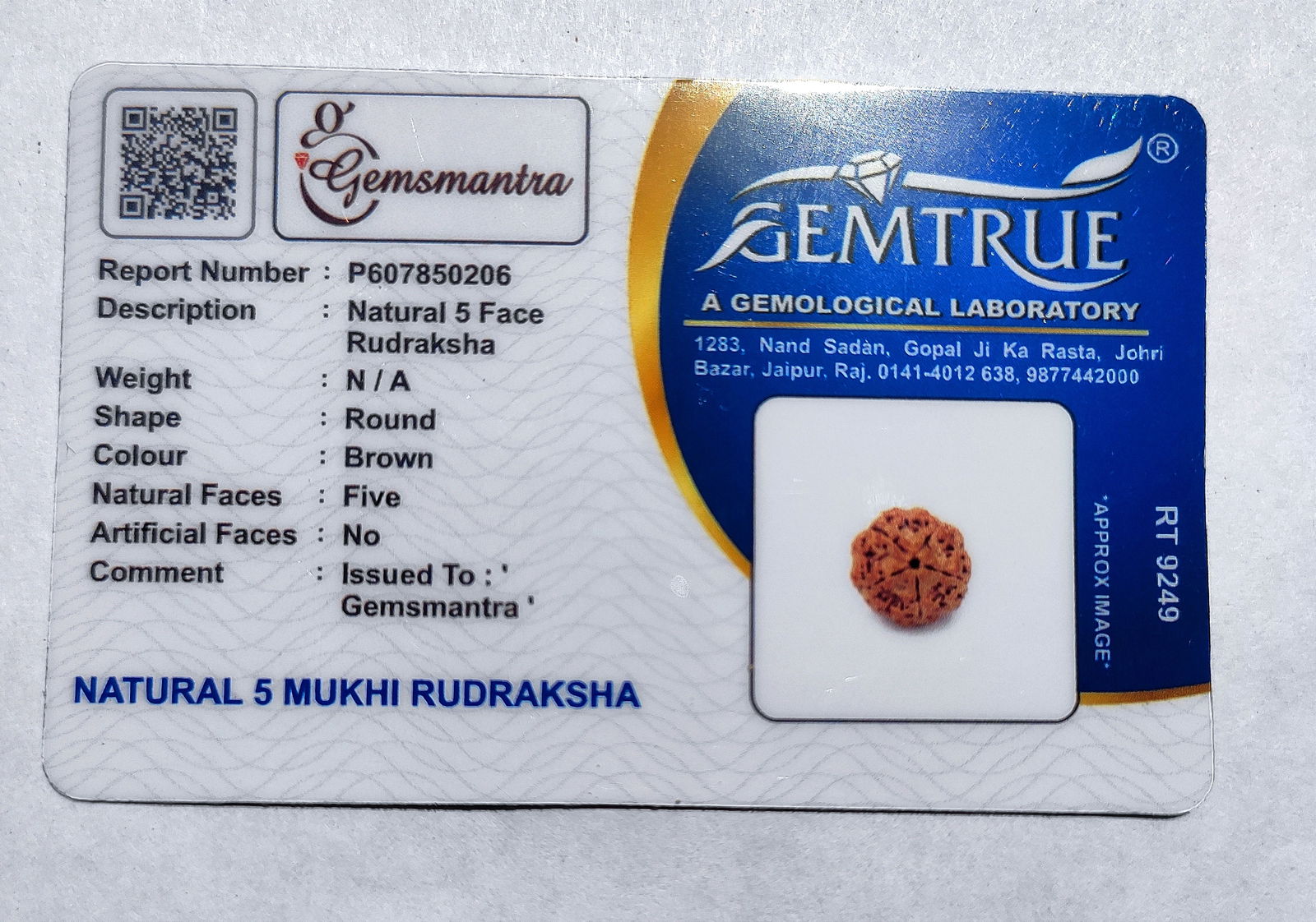 5 Mukhi Rudraksha - Gemsmantra