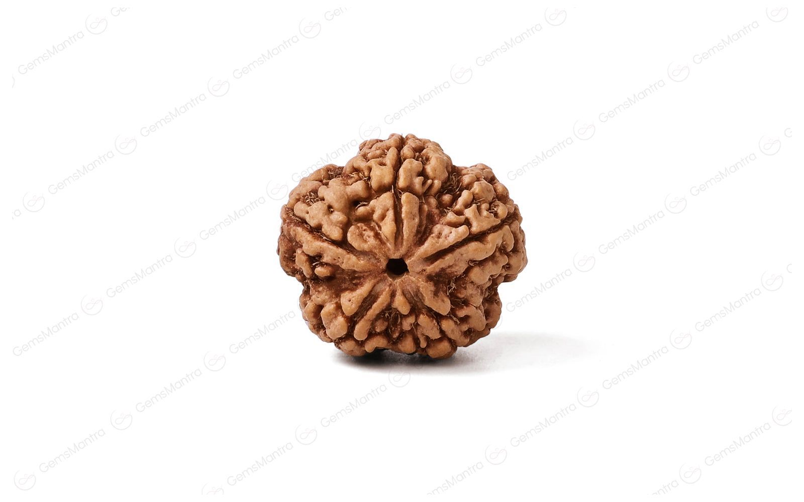 Abhimantrit Natural 5 Mukhi Rudraksha (Nepali)