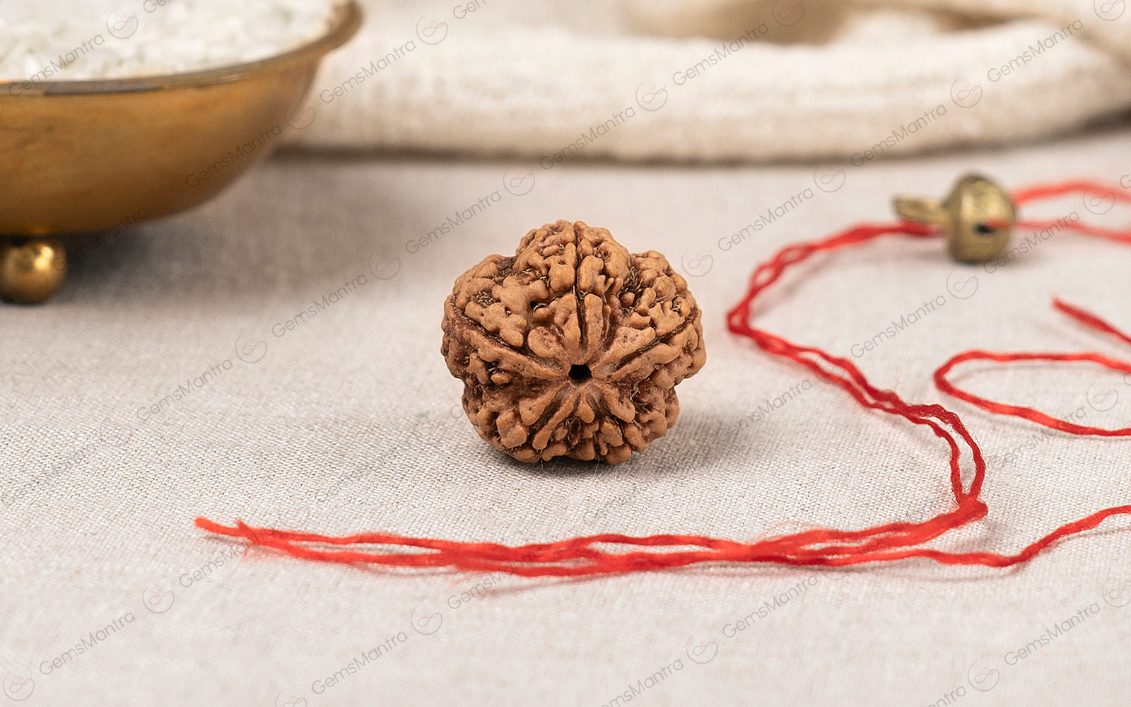 Natural 5 Mukhi Rudraksha (Nepali)
