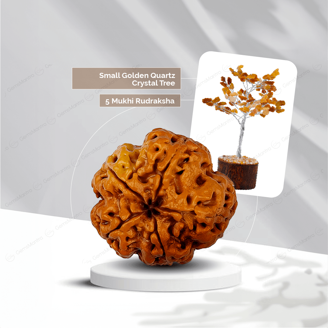 5 Mukhi Rudraksha + Small Golden Quartz Crystal Tree - Gemsmantra