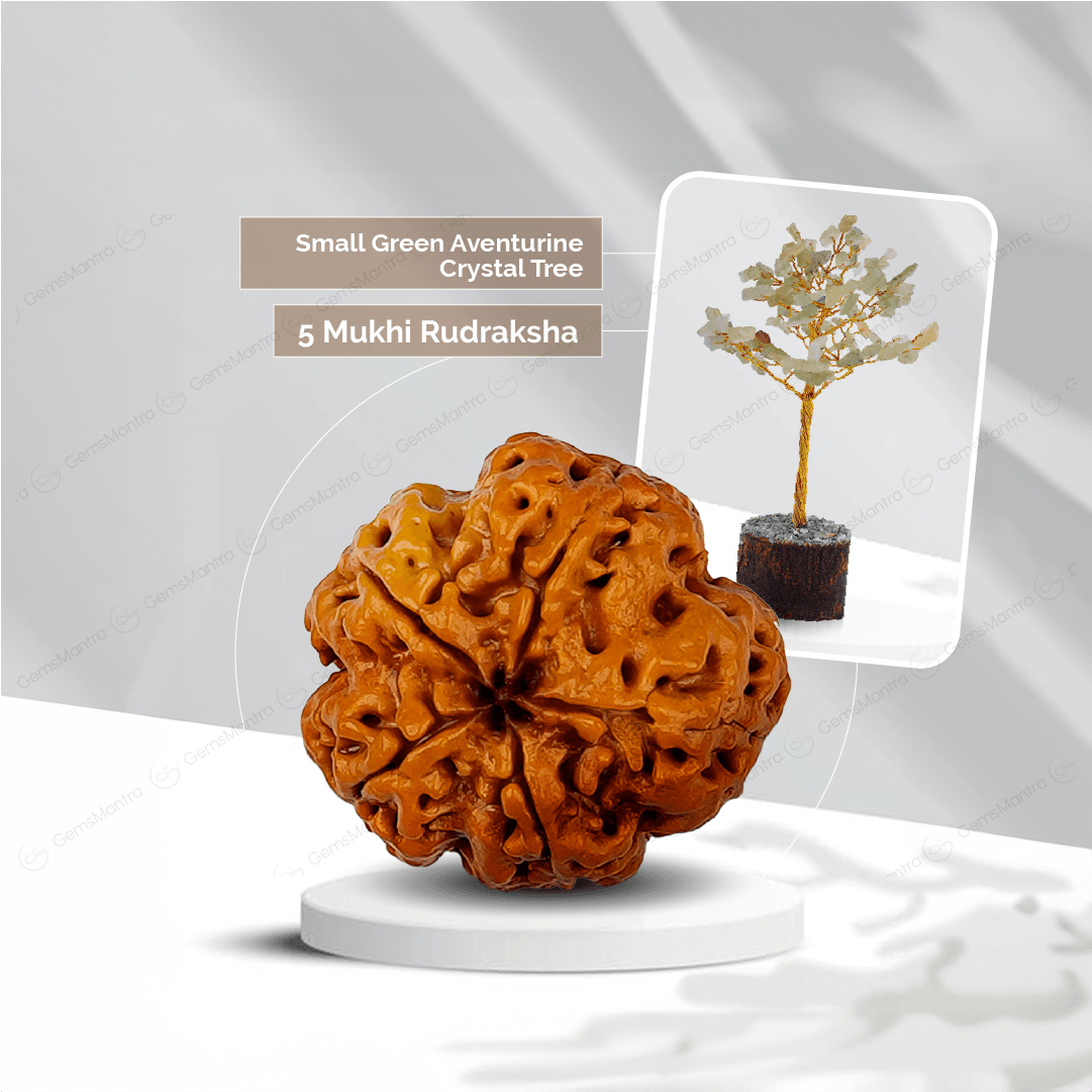 5 Mukhi Rudraksha + Small Green Aventurine Crystal Tree - Gemsmantra