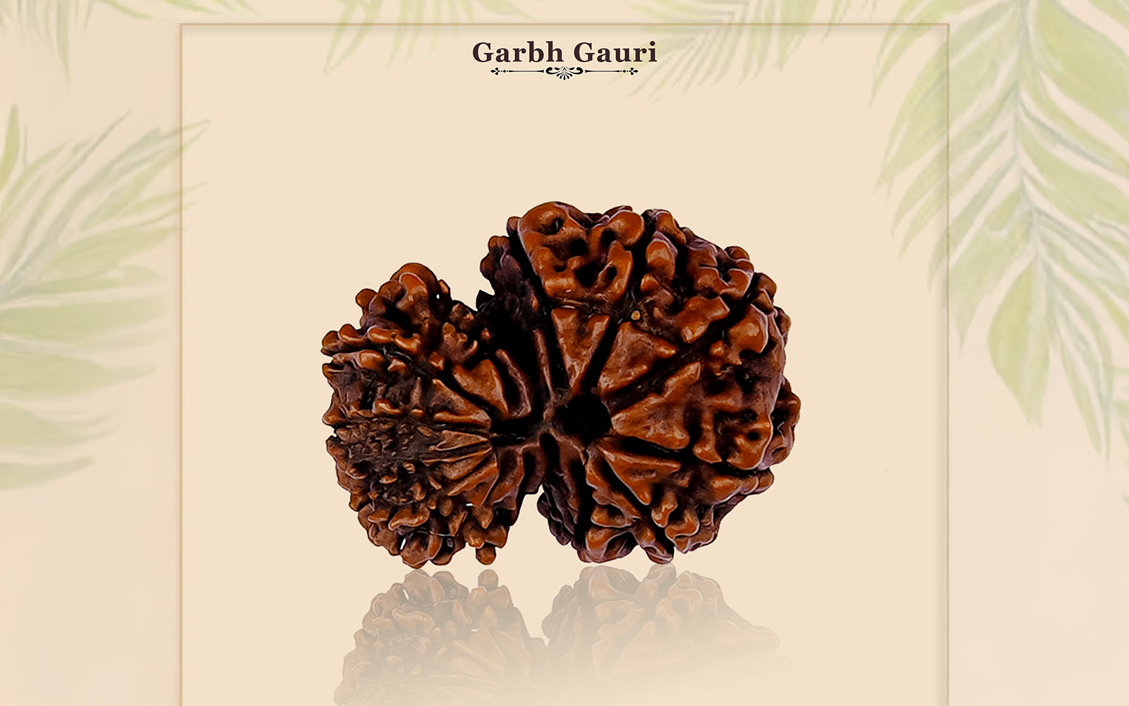 Garbh Gauri Shankar Rudraksha