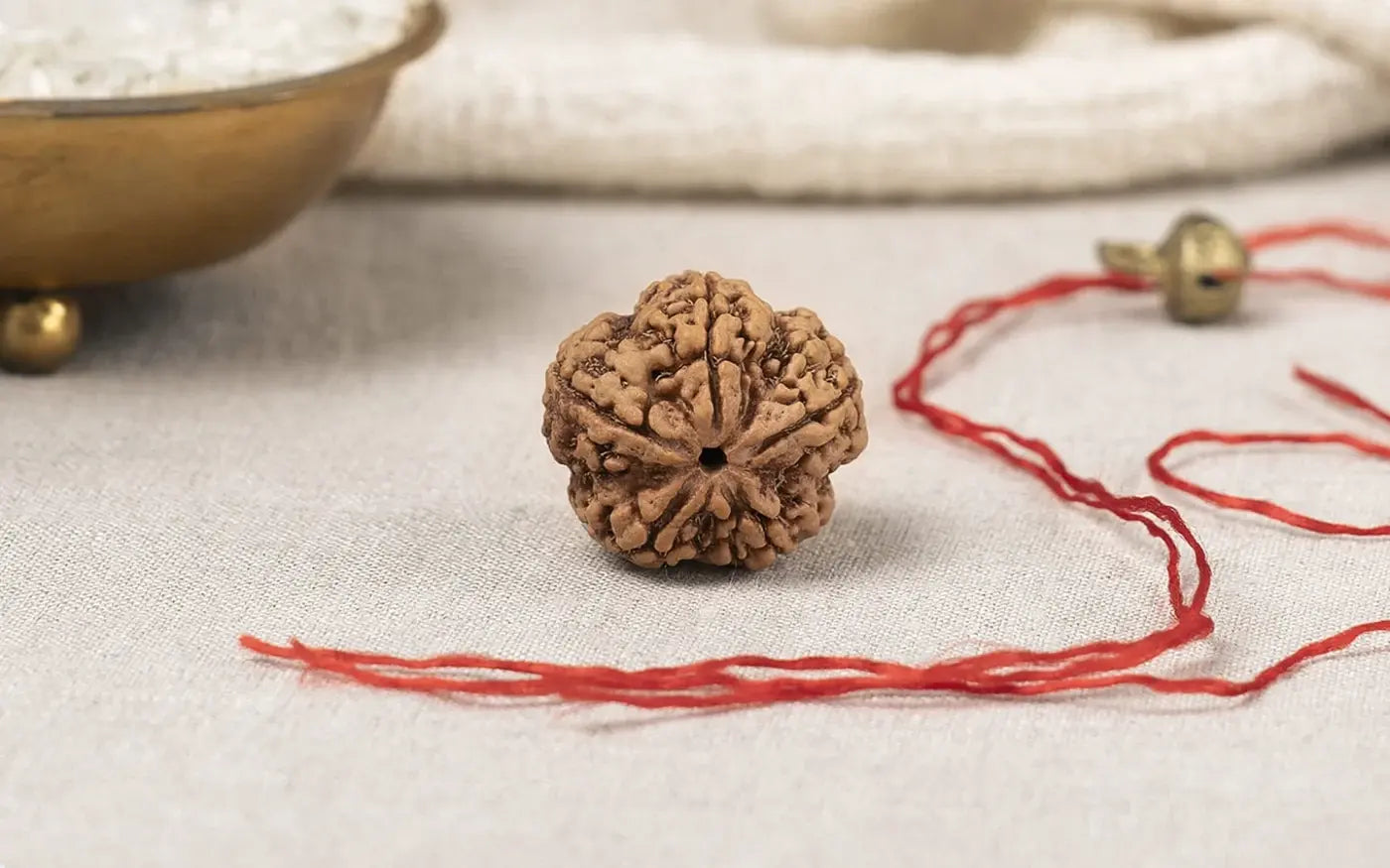 Sawan Maha Set — 5, 7 & 8 Mukhi Rudraksha (Nepali)
