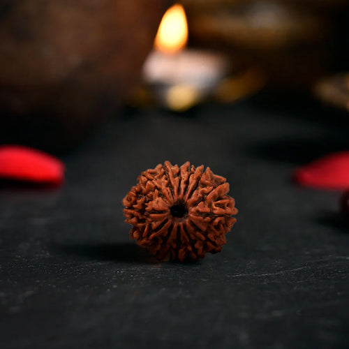 Rudraksha