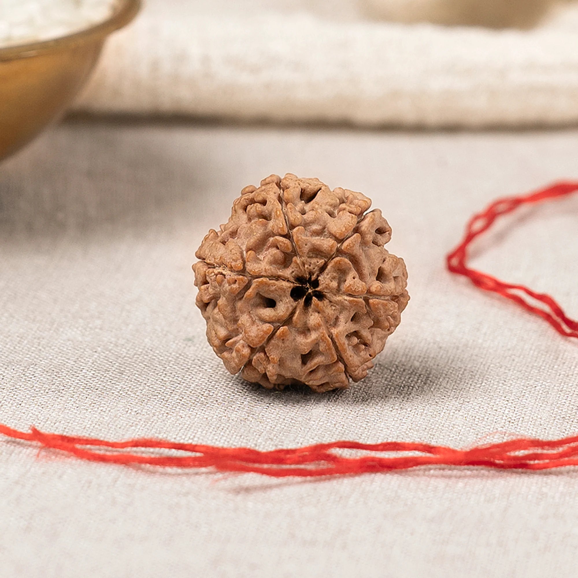 Sawan Shakti Set — 6 & 7 Mukhi Rudraksha (Medium, Nepali)