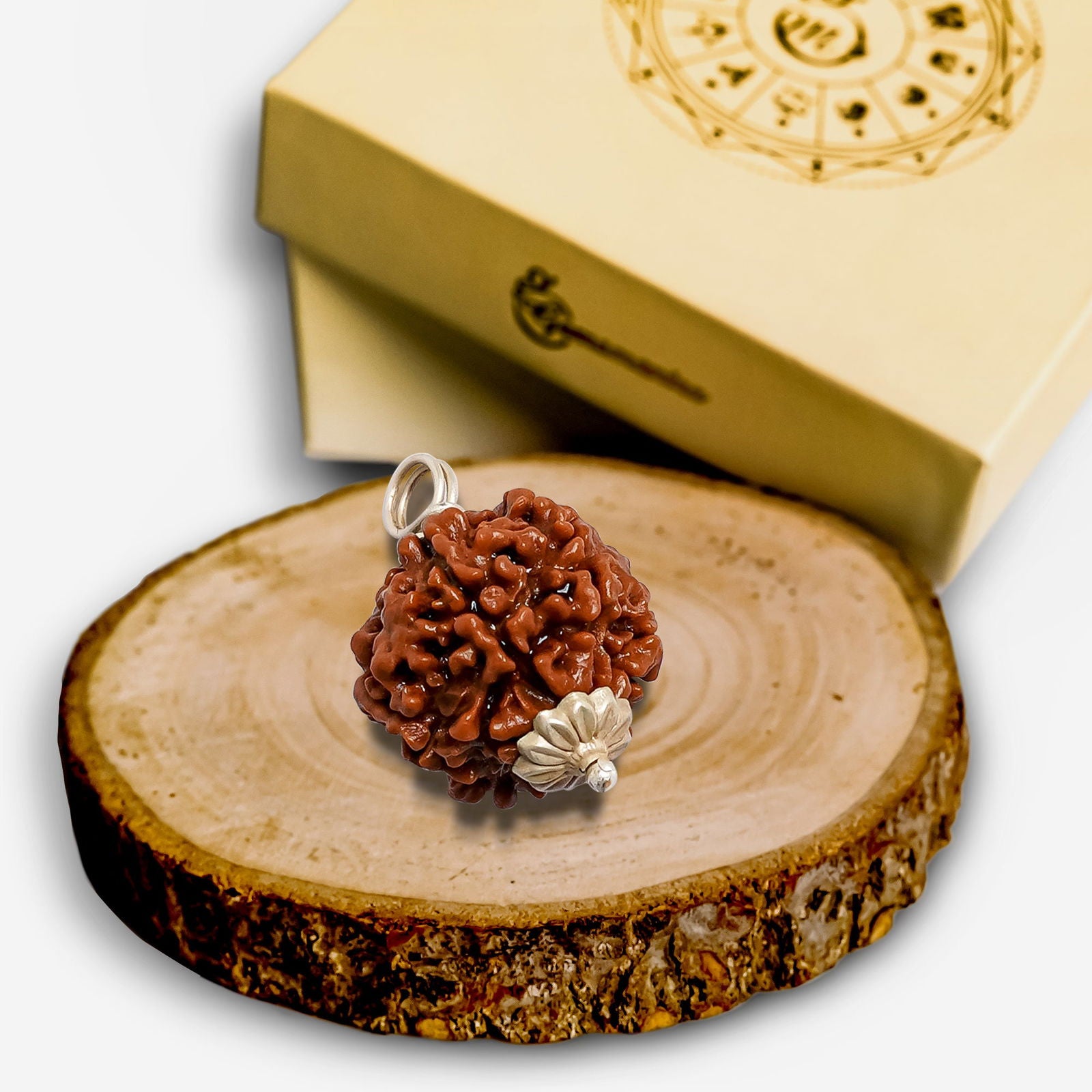 6 Mukhi Rudraksha - Gemsmantra