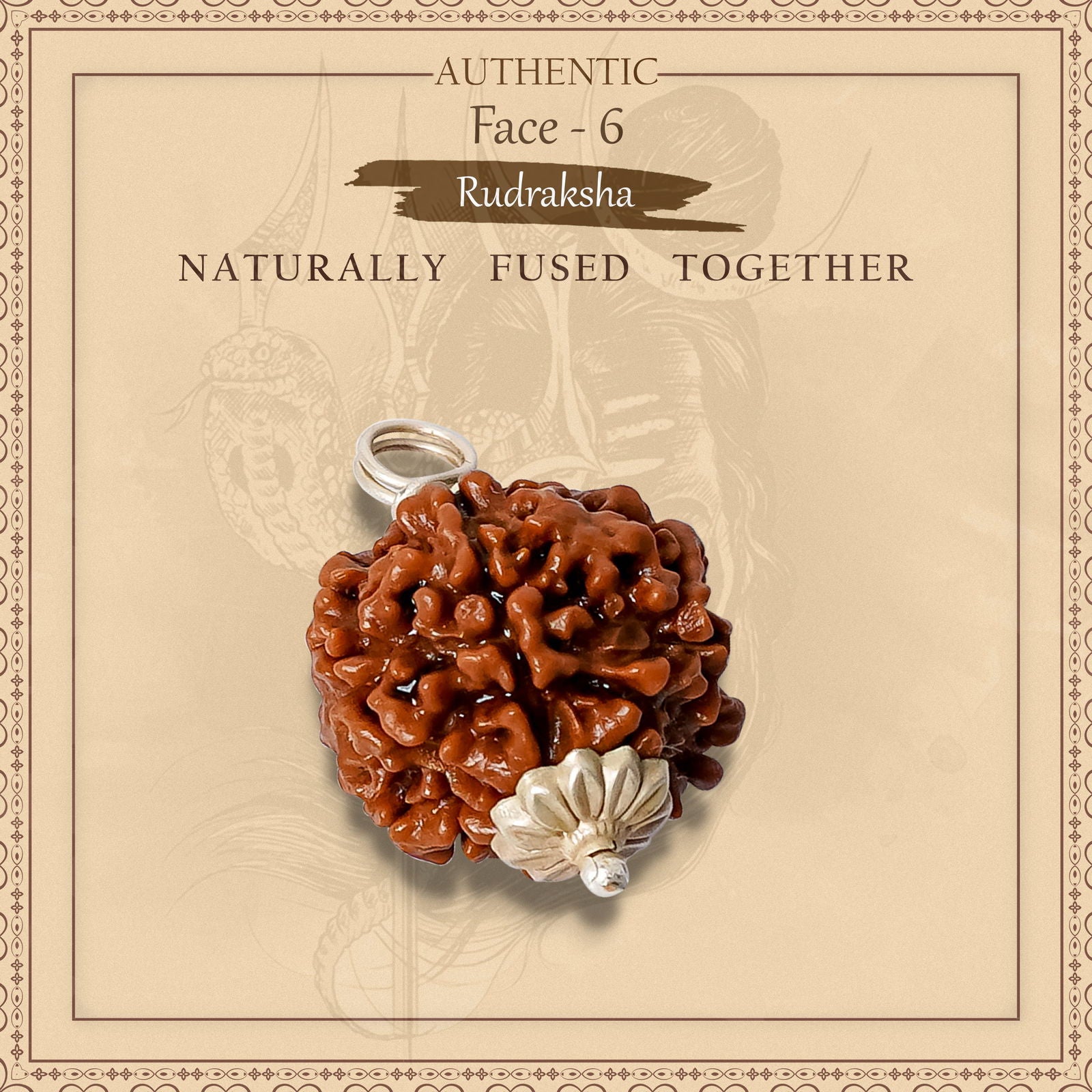 6 Mukhi Rudraksha - Gemsmantra