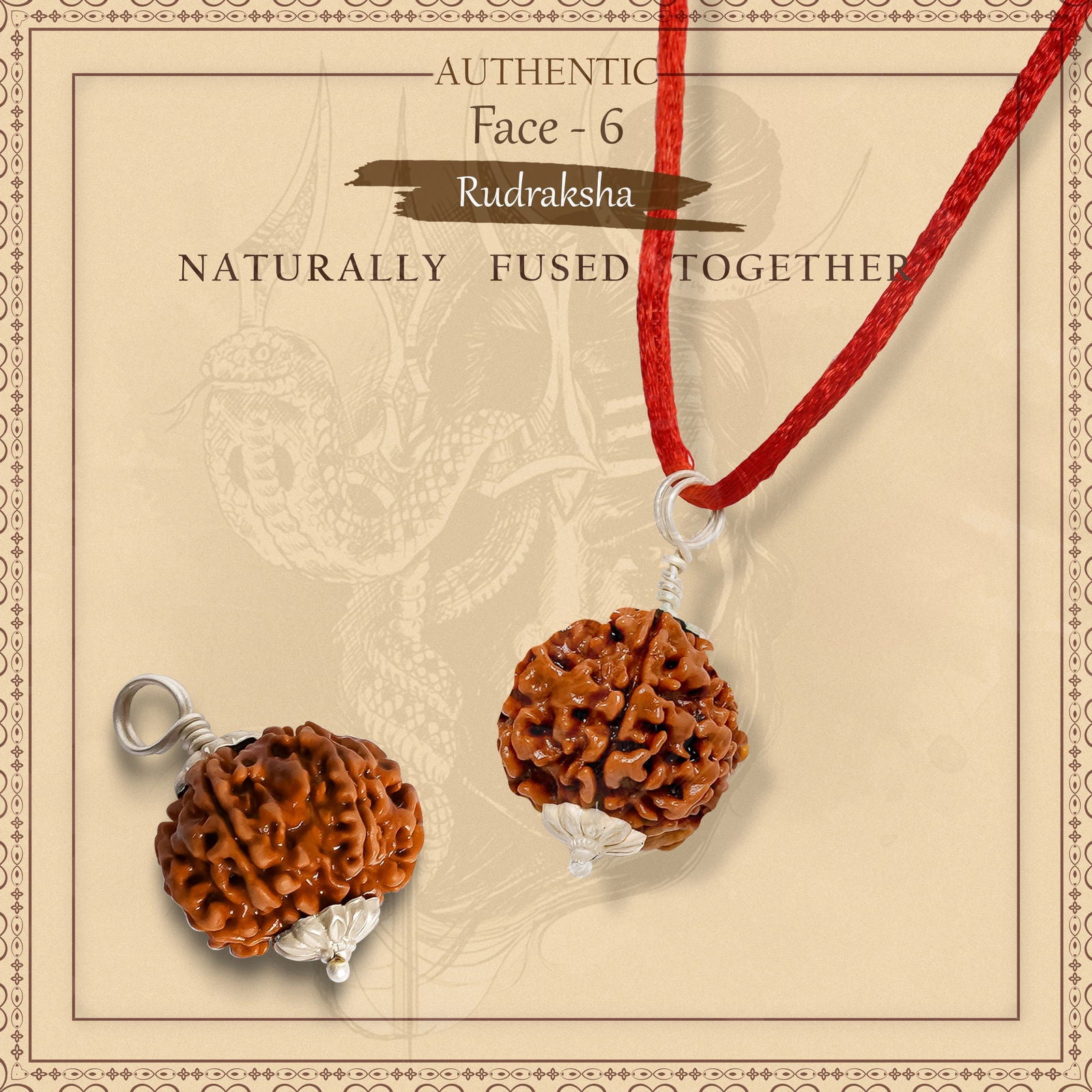 6 Mukhi Rudraksha - Gemsmantra