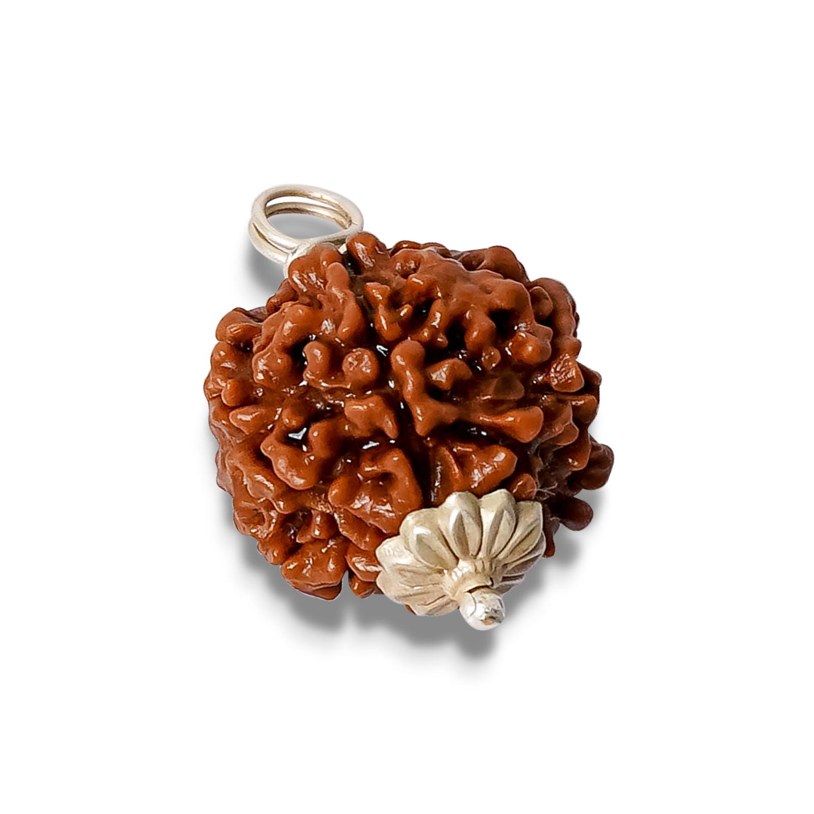 6 Mukhi Rudraksha - Gemsmantra