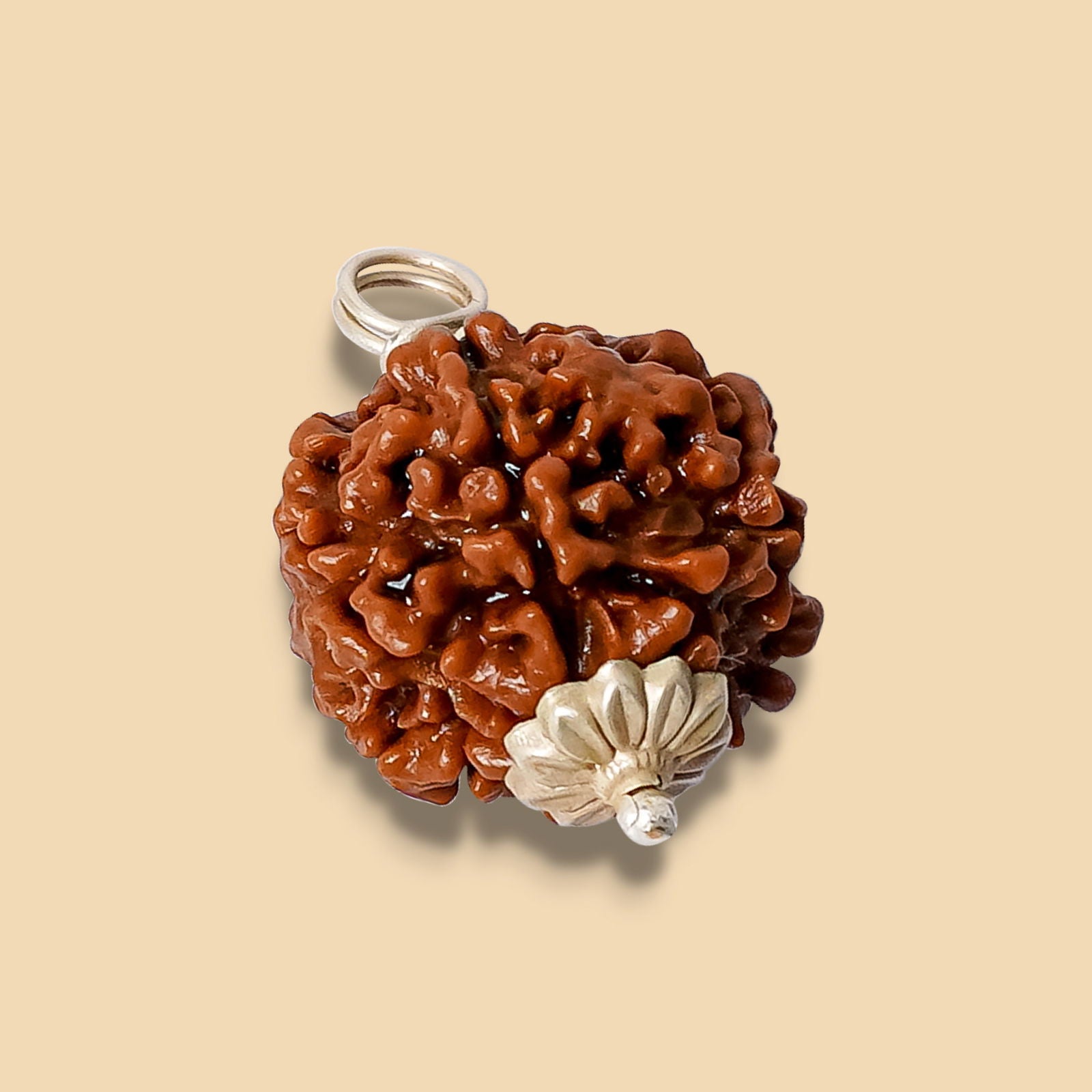 6 Mukhi Rudraksha - Gemsmantra