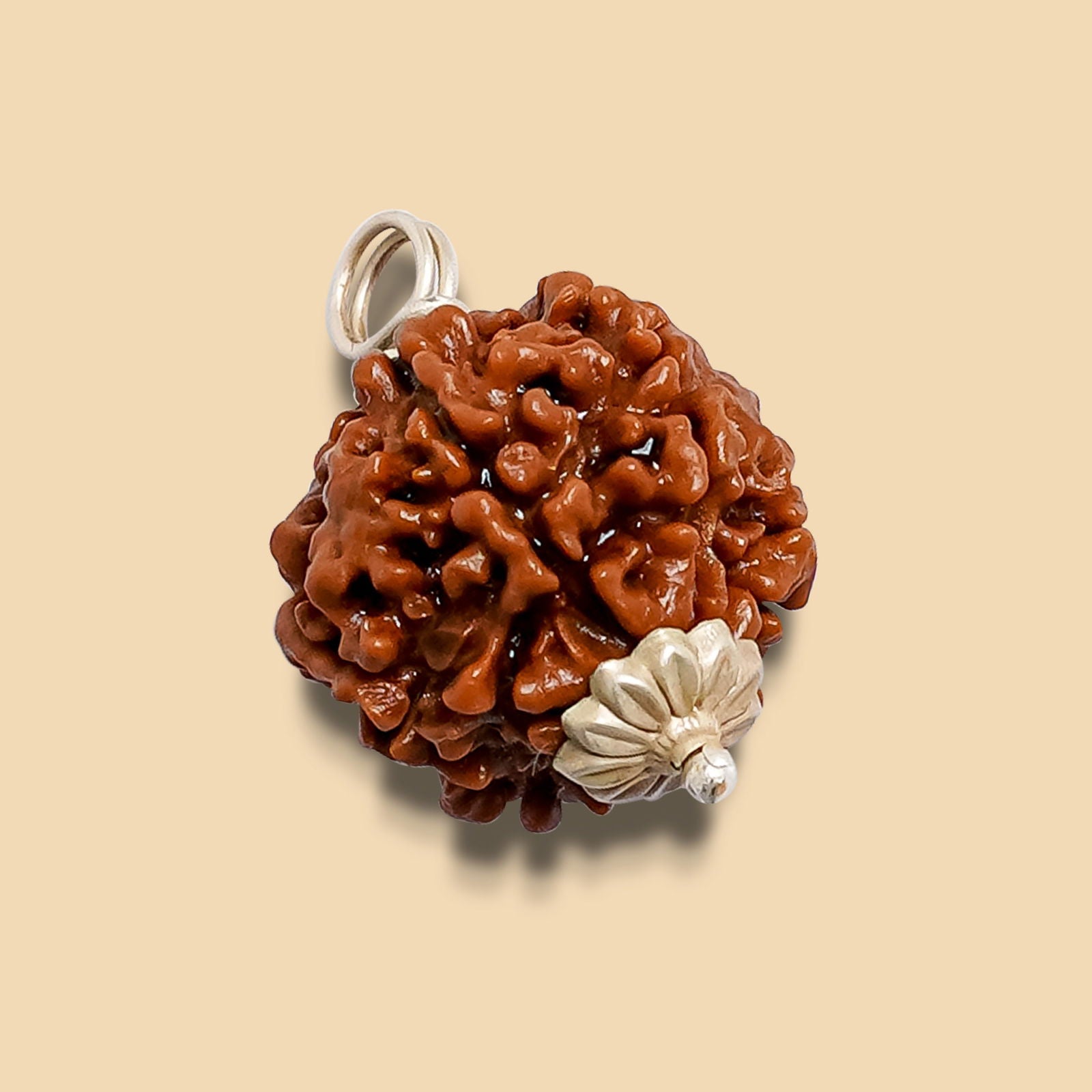 6 Mukhi Rudraksha - Gemsmantra