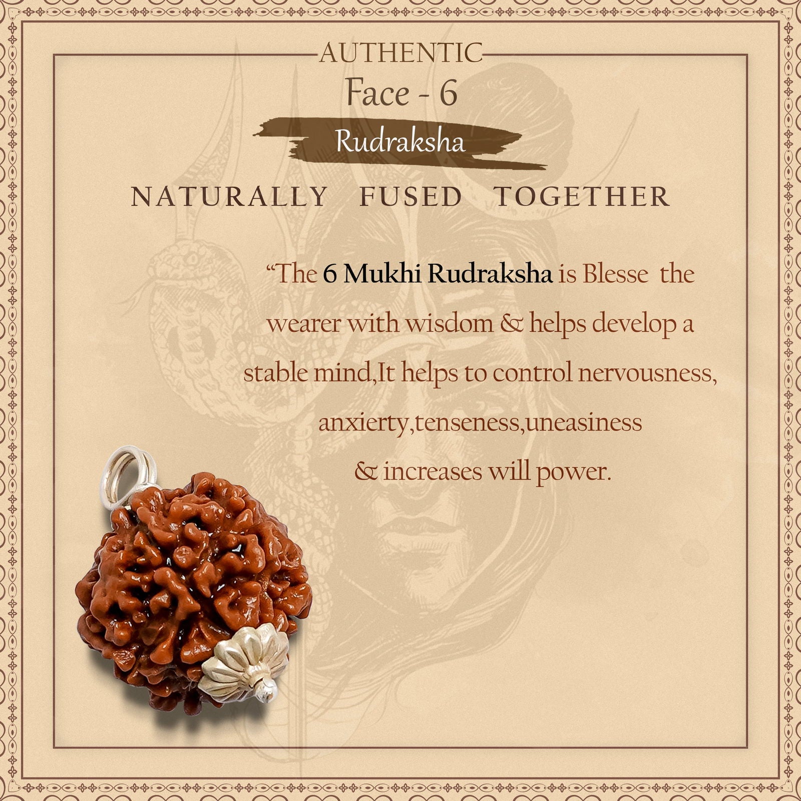 6 Mukhi Rudraksha - Gemsmantra