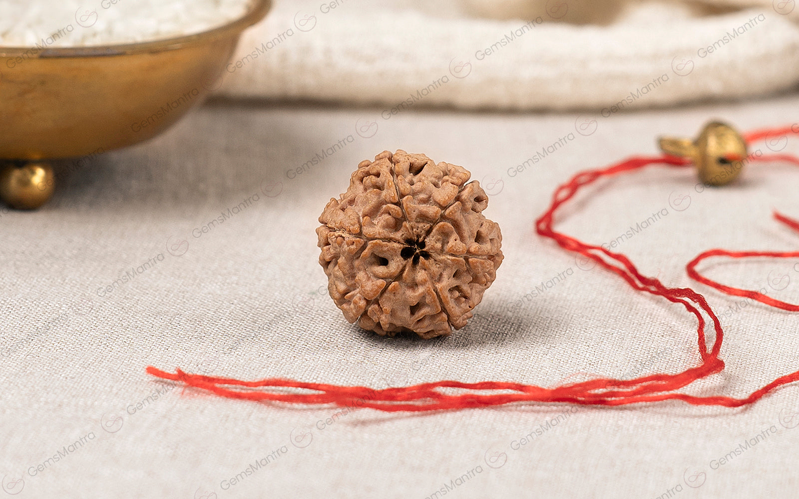 6 & 7 Mukhi Rudraksha Pair — Natural 6 Mukhi Rudraksha (Nepali)