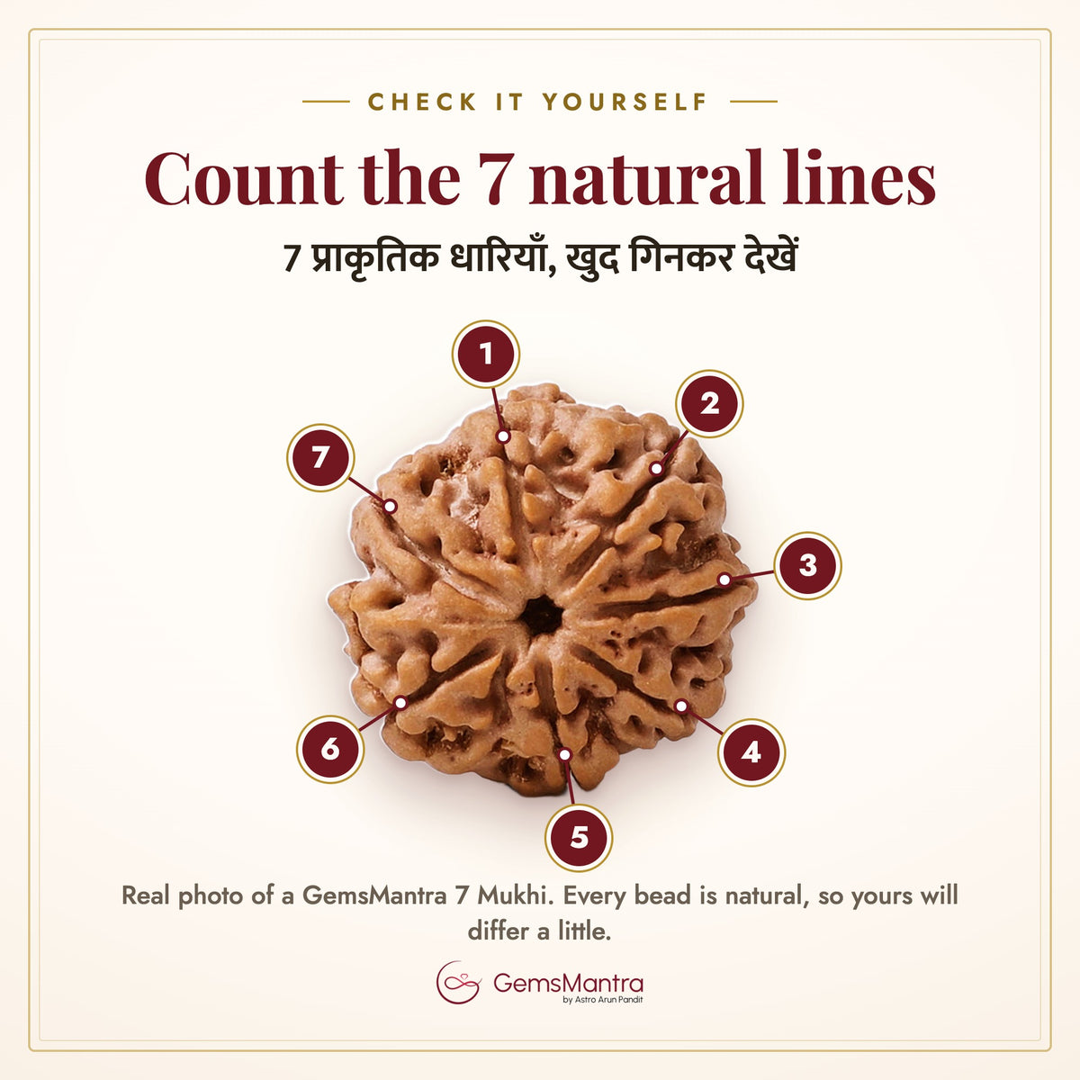 7 Mukhi Rudraksha – count the 7 natural lines