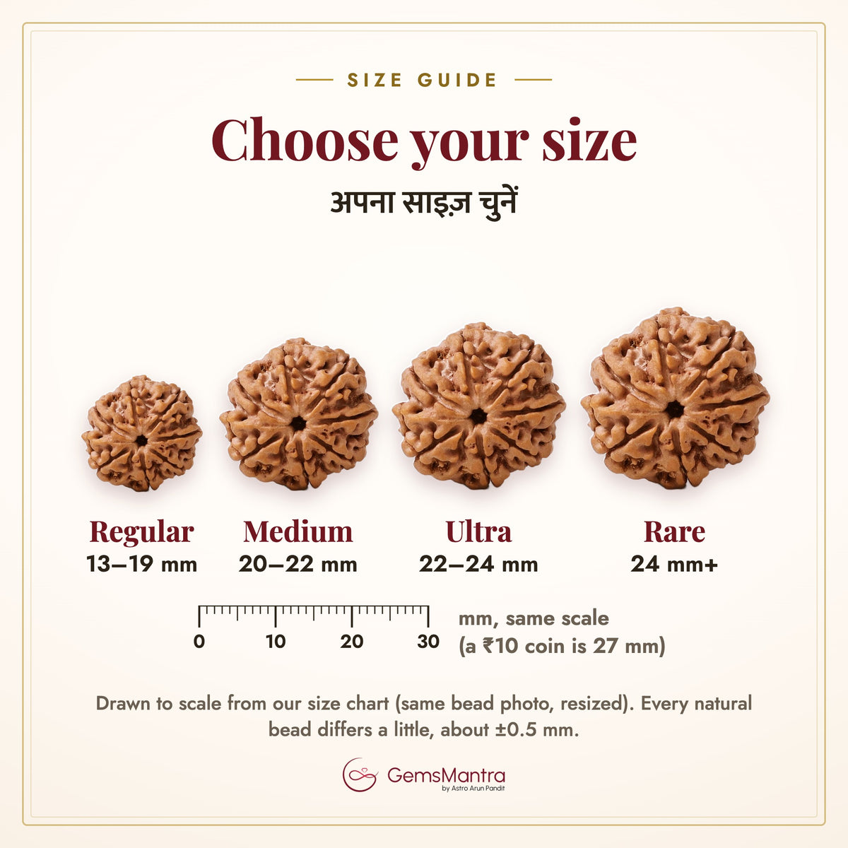 7 Mukhi Rudraksha sizes: Regular, Medium, Ultra, Rare in mm