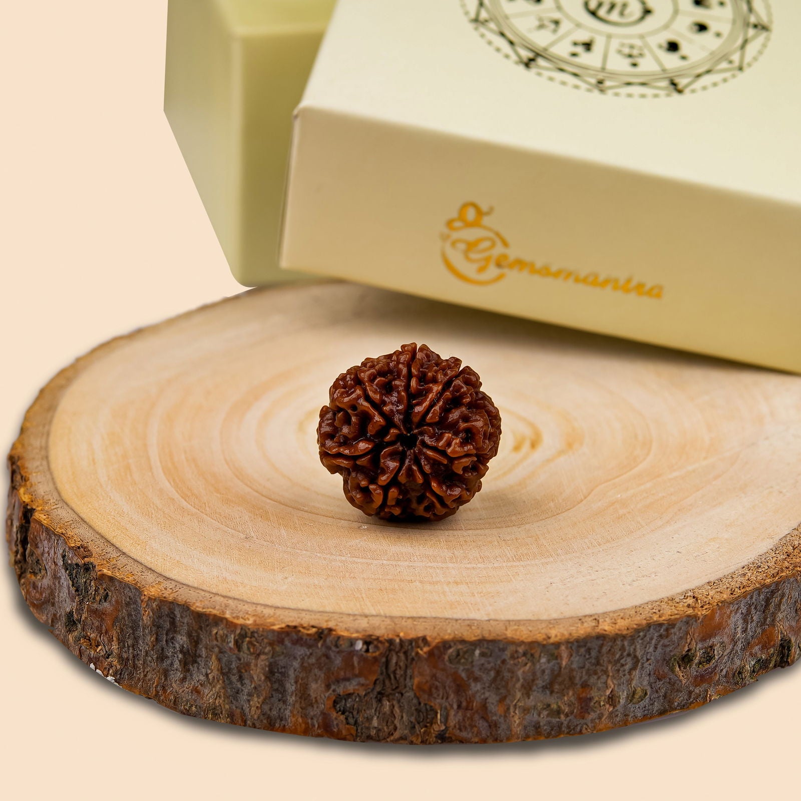 Dhanlaxmi Vriddhi Mala Bracelet 1 Mukhi 9 Mukhi Rudraksha Gemsmantra dhanlaxmi-vriddhi-mala-bracelet-1-mukhi-9-mukhi-rudraksha-gemsmantra