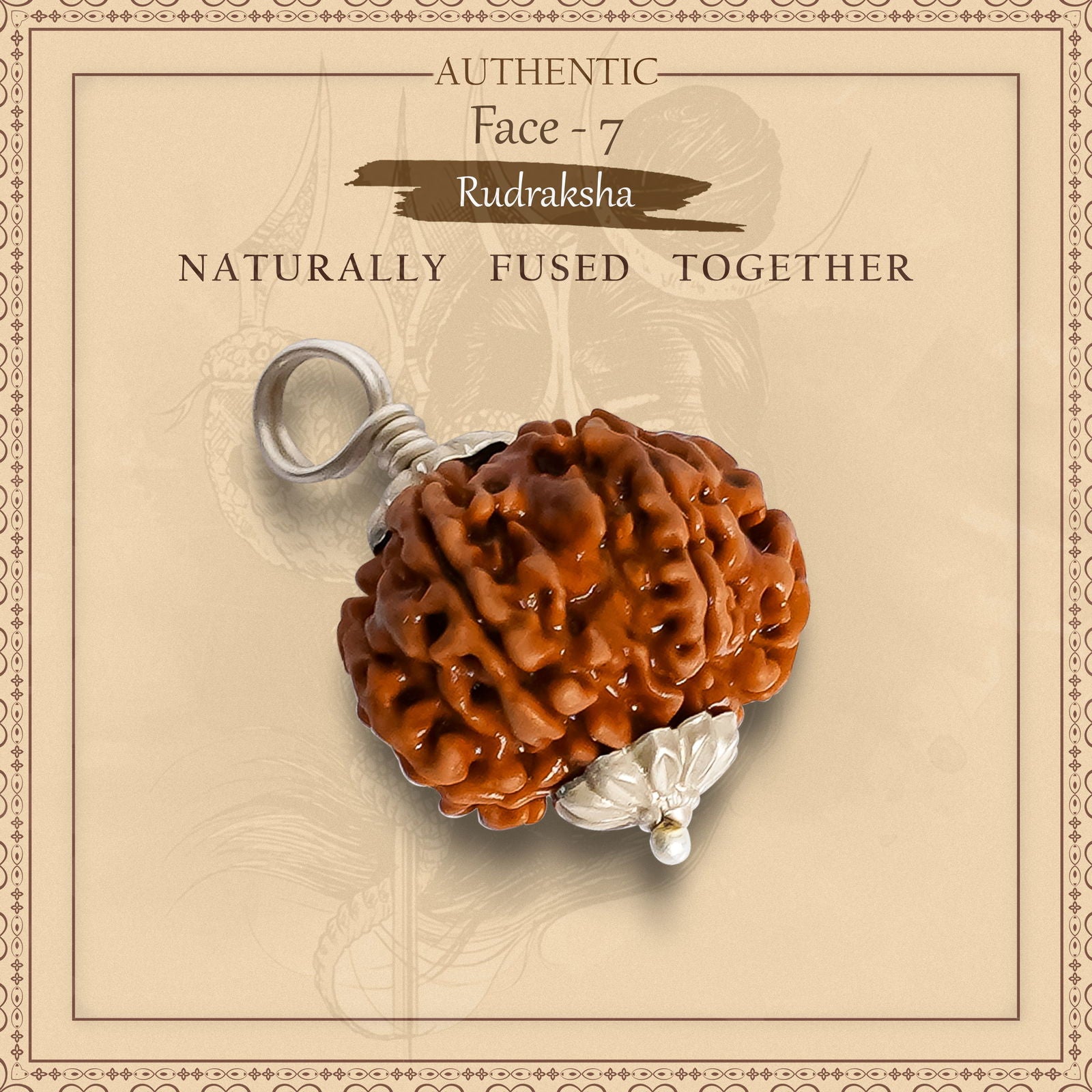 7 Mukhi Rudraksha - Gemsmantra