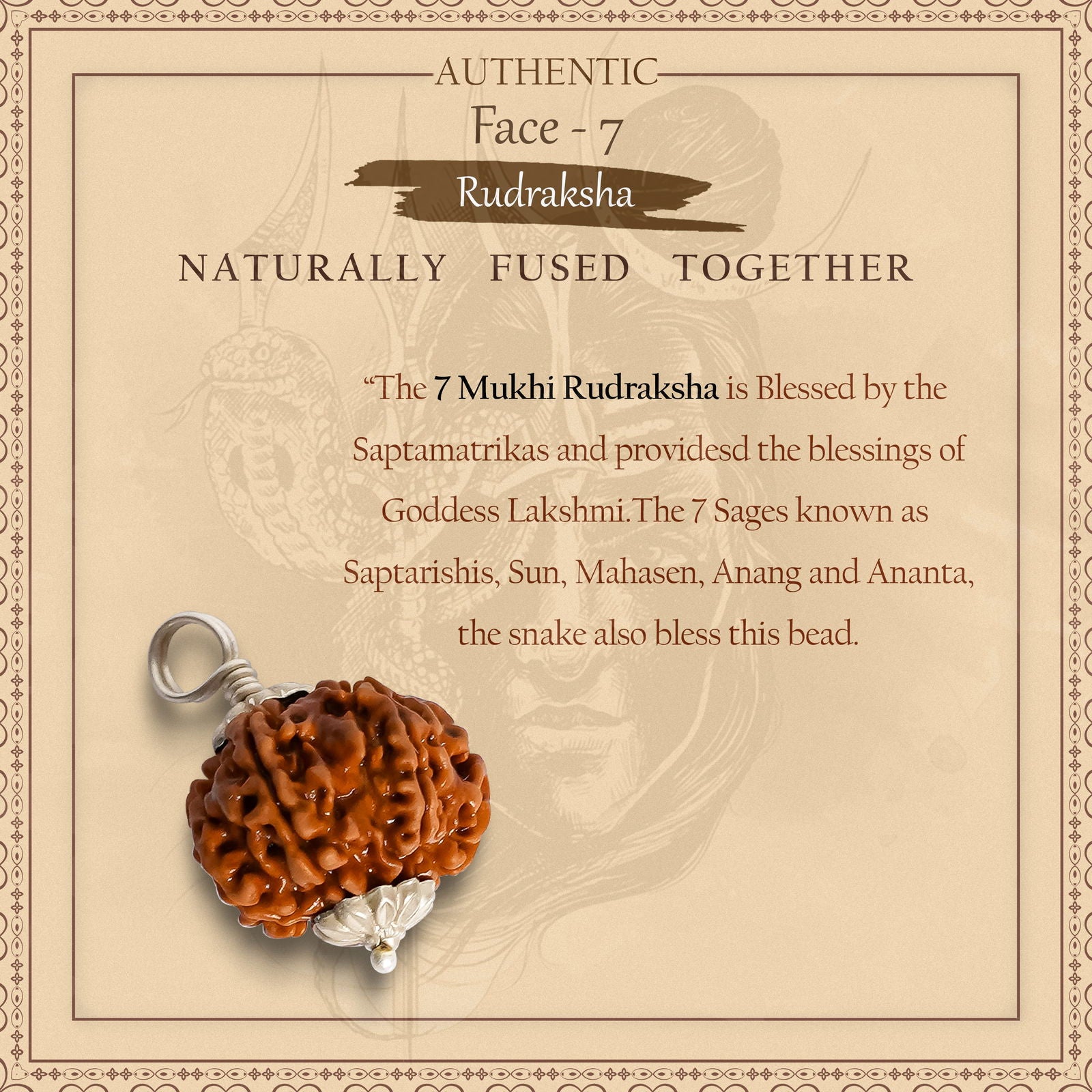 7 Mukhi Rudraksha - Gemsmantra