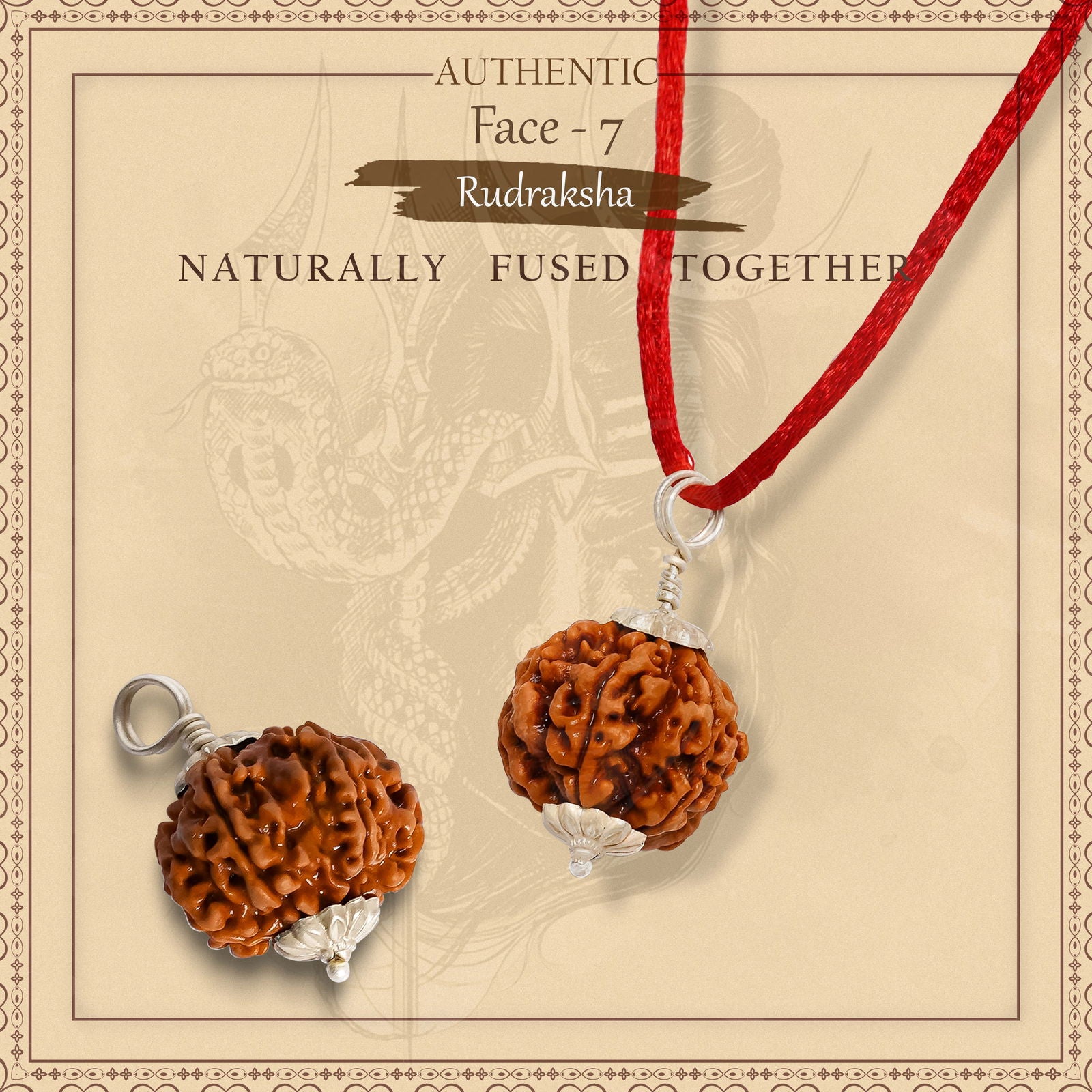 7 Mukhi Rudraksha - Gemsmantra