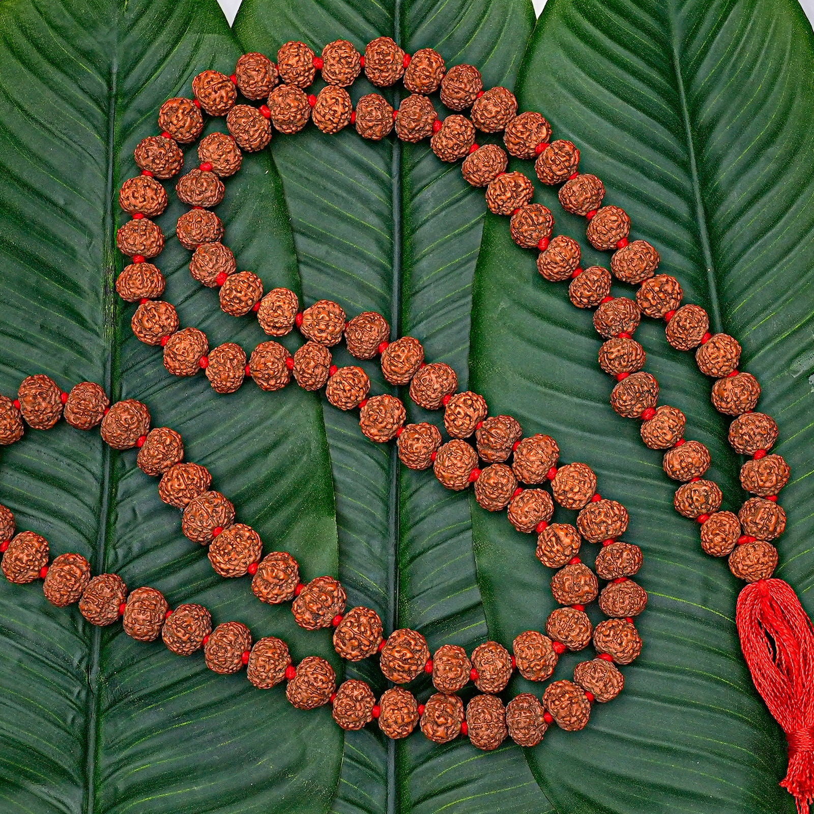 7 Mukhi Rudraksha Mala - Gemsmantra