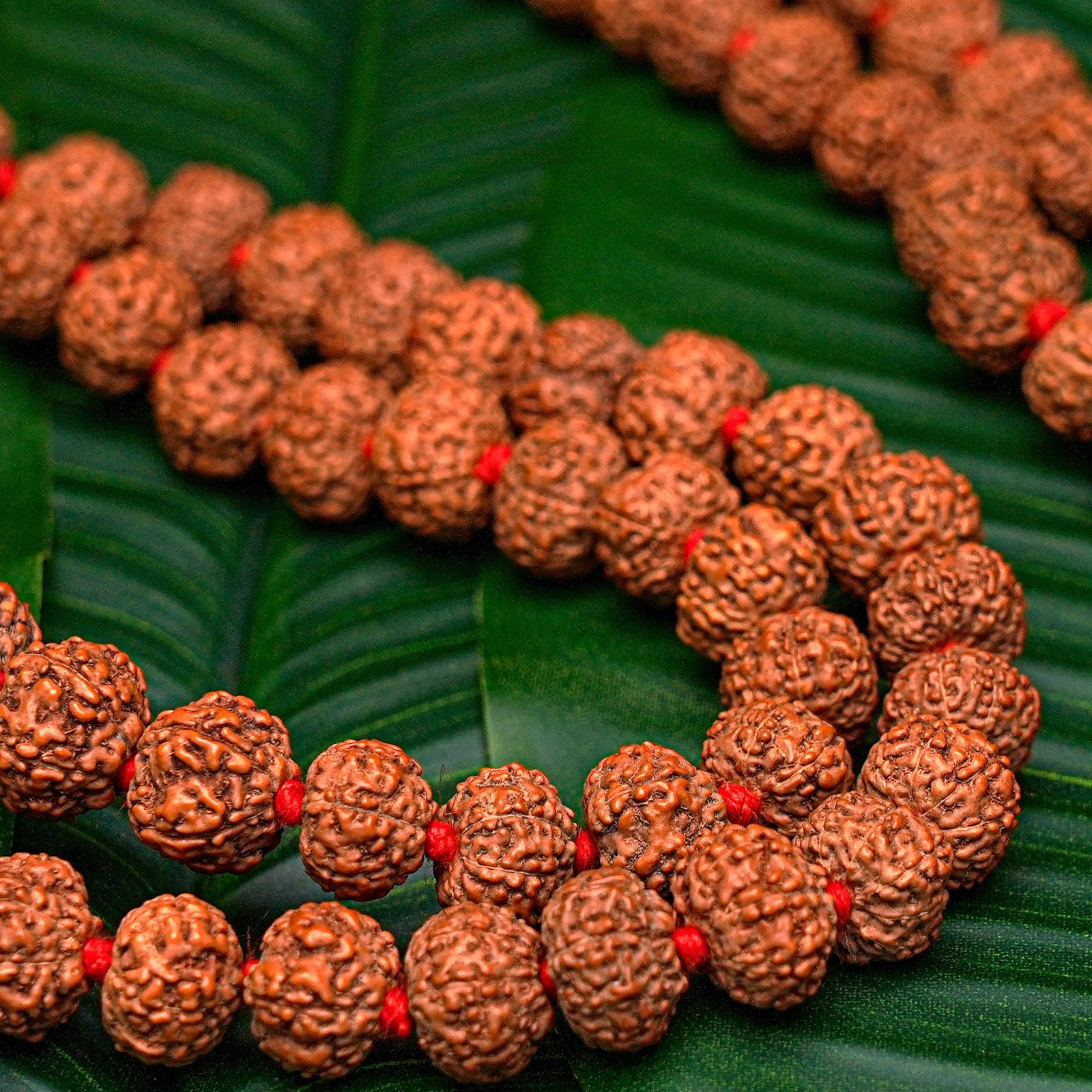 7 Mukhi Rudraksha Mala - Gemsmantra