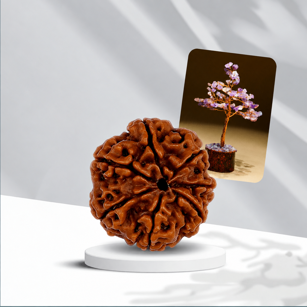 7 Mukhi Rudraksha + Small Amethyst Crystal Tree - Gemsmantra