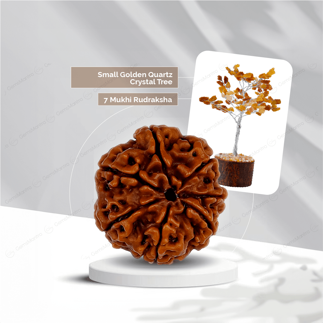 7 Mukhi Rudraksha + Small Golden Quartz Crystal Tree - Gemsmantra