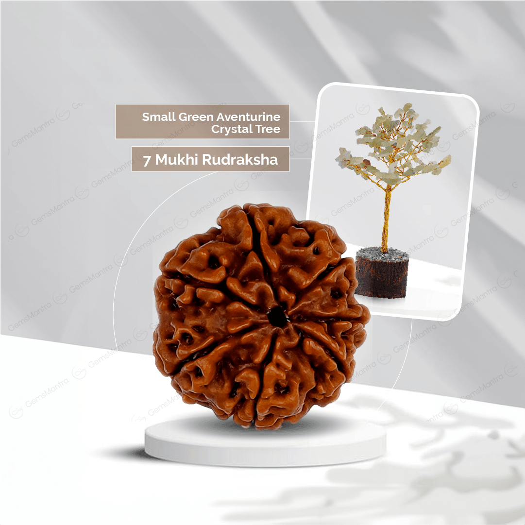 7 Mukhi Rudraksha + Small Green Aventurine Crystal Tree - Gemsmantra