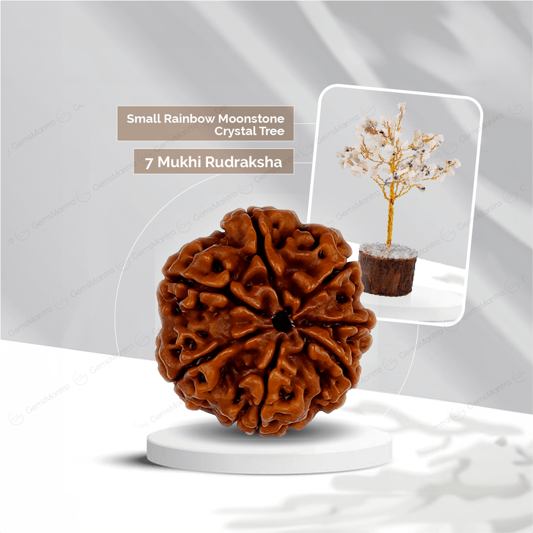 7 Mukhi Rudraksha + Small Rainbow moonstone Crystal Tree - Gemsmantra