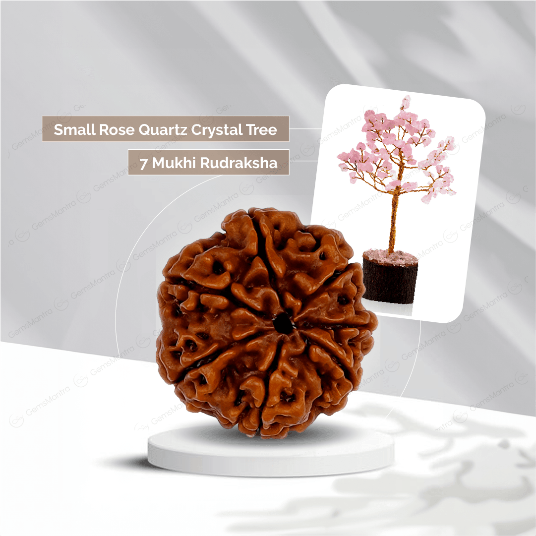 7 Mukhi Rudraksha + Small Rose Quartz Crystal Tree - Gemsmantra