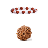 7 Mukhi Rudraksha + Rudraksha Bracelet Combo for Men