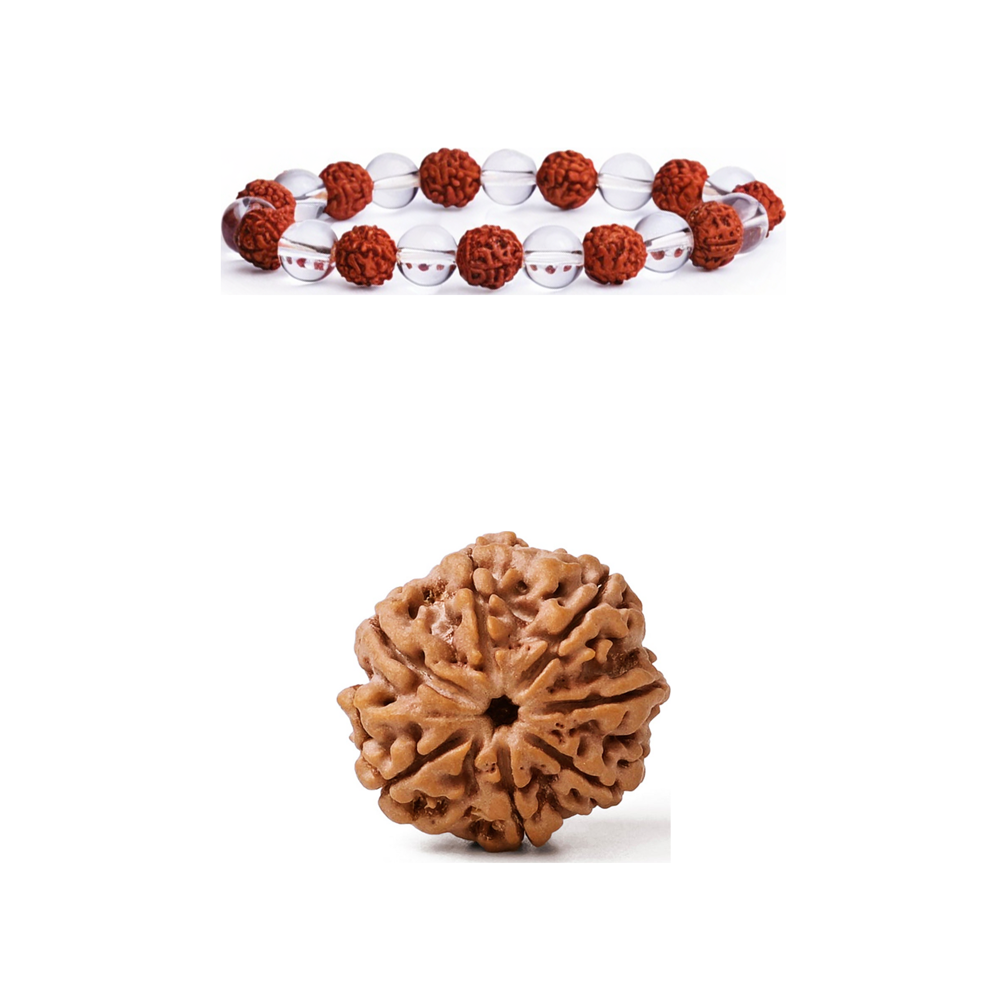 7 Mukhi Rudraksha and Rudraksha crystal bracelet combo, centered product-only view