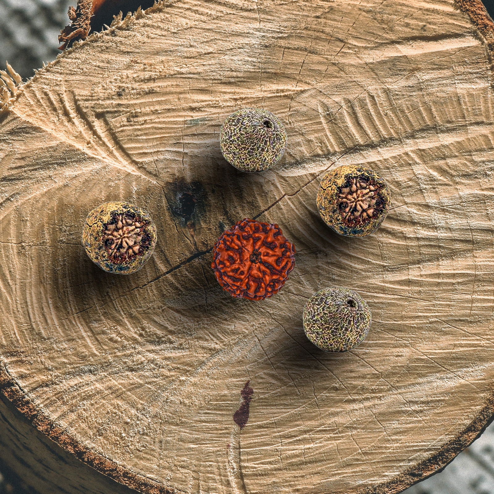 8 Mukhi Rudraksha (Nepali) - Gemsmantra