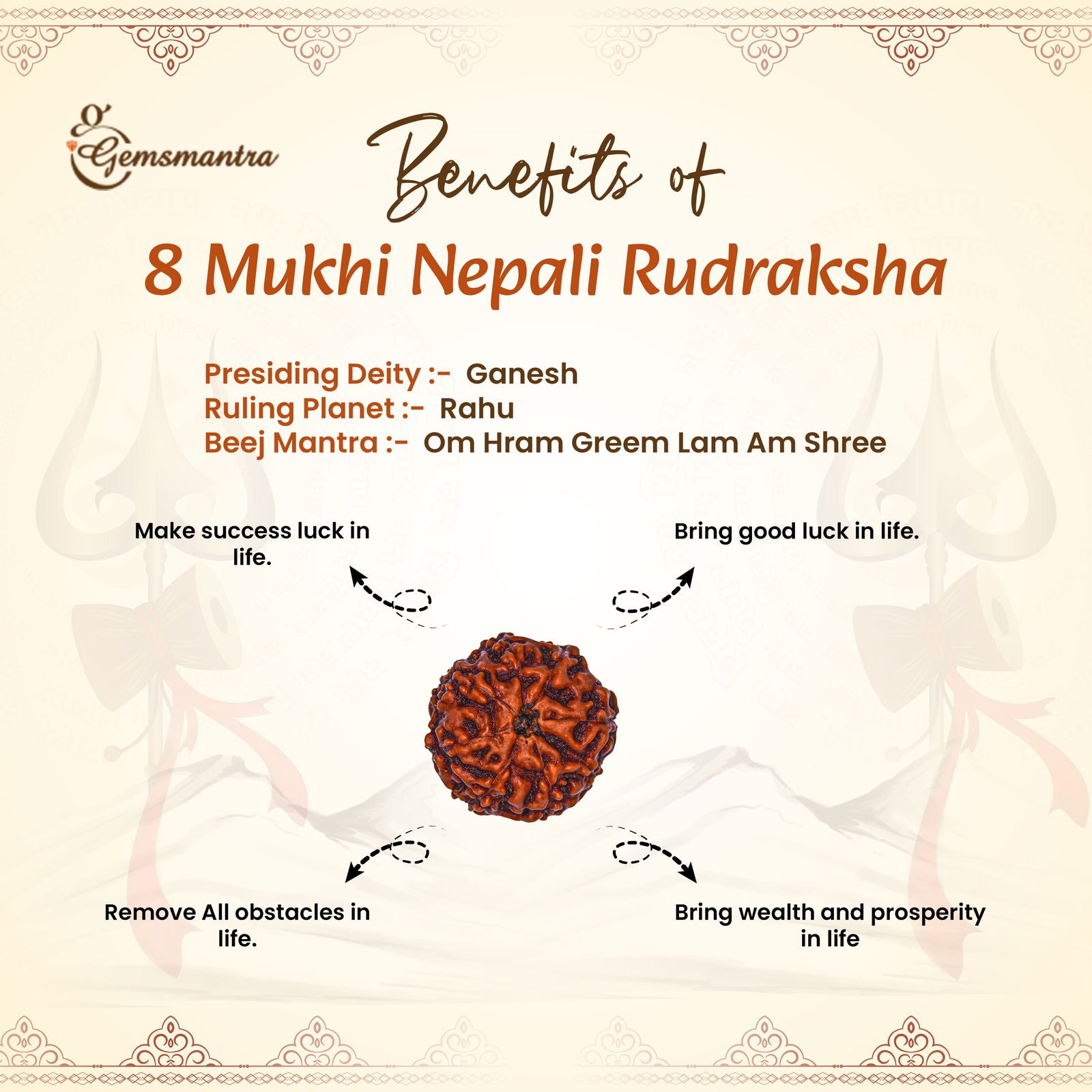 8 Mukhi Rudraksha (Nepali) - Gemsmantra